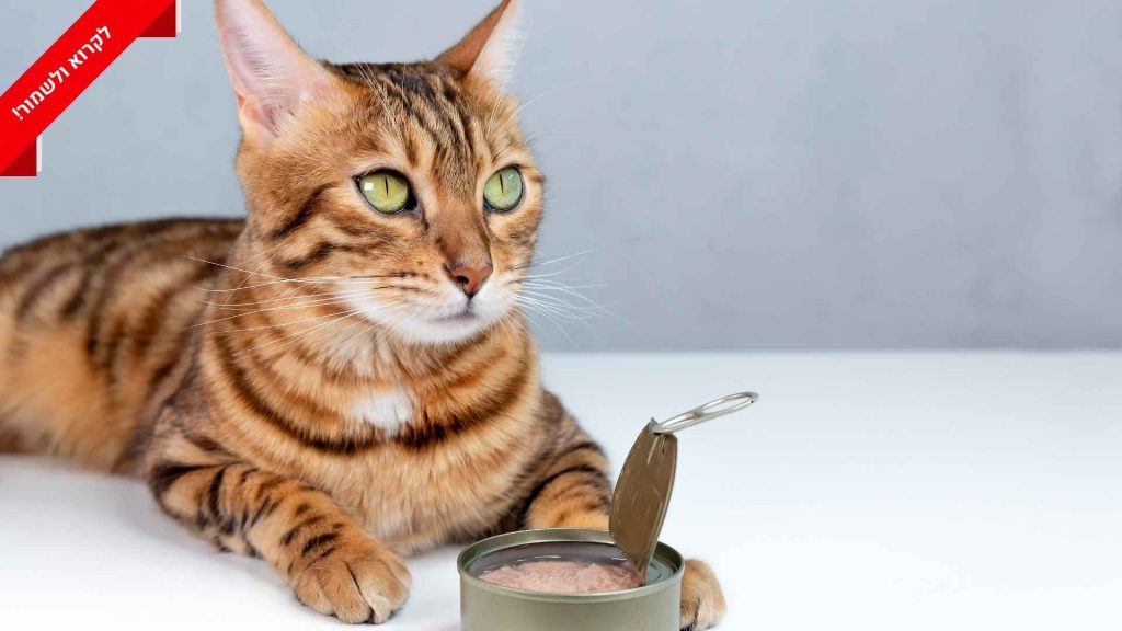 1767619823 d9553a92cf161d3b8a0c